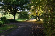 Herbst-Friedhof 002.jpg